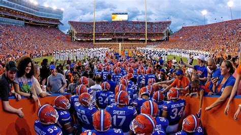 Early Kentucky Football Opponent Preview: Florida Gators - A Sea Of Blue