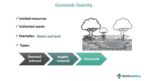 Scarcity Examples