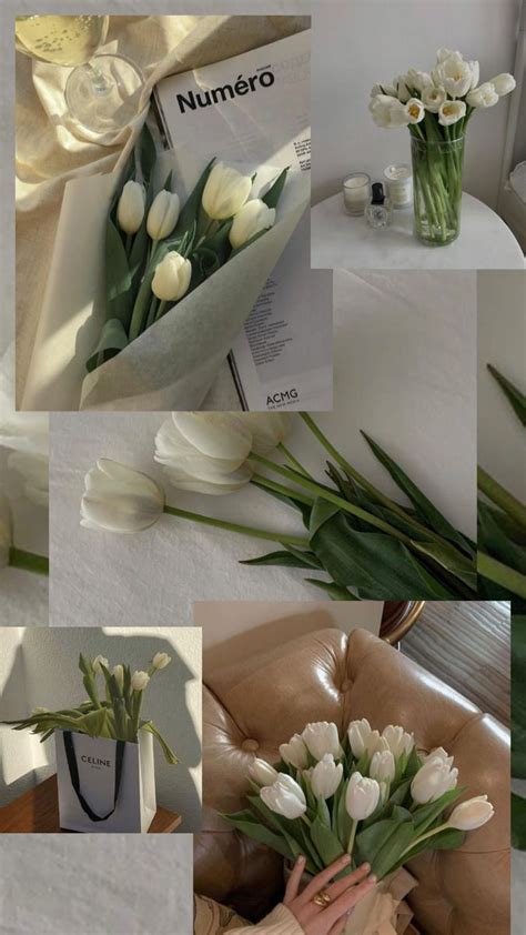 White tulips wallpaper aesthetic🤍 | Flower screensaver, Tulip decor ...