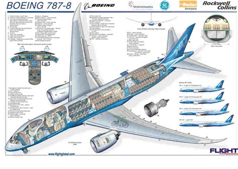 Boeing 787-8 cutaway drawing | Boeing aircraft, Boeing 787 dreamliner ...