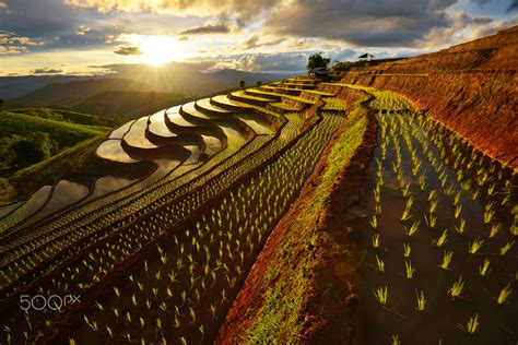 Chiang Mai rice terrace by Wanasapong Jaiinpol / 500px