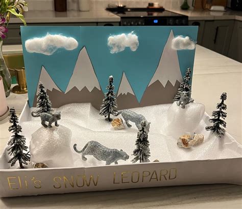 Snow leopard diorama | Snow leopard art, Diorama kids, Snow leopard habitat