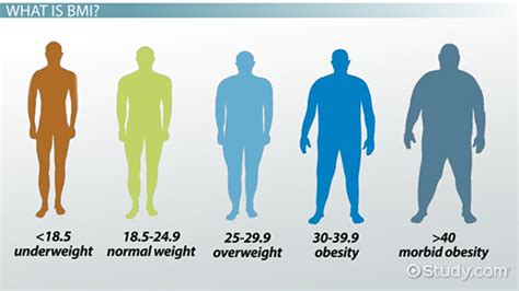 Bmi Formula Weight X 703 - Aljism Blog