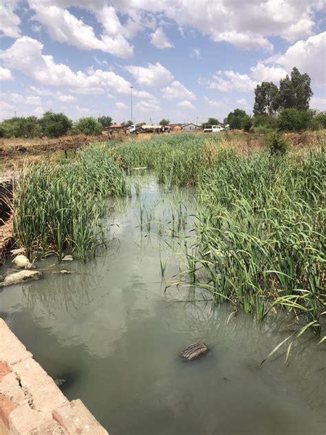 Potchefstroom: DA dien klag in oor jare se rioolvuil | Netwerk24