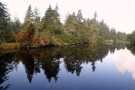 Florence, OR : Lagoon Campground photo, picture, image (Oregon) at city ...