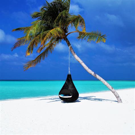 Wallpaper maldives, islands, palm tree, travel desktop wallpaper, hd ...