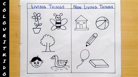 Living Things And Non-living Things Drawing Easy How To, 55% OFF