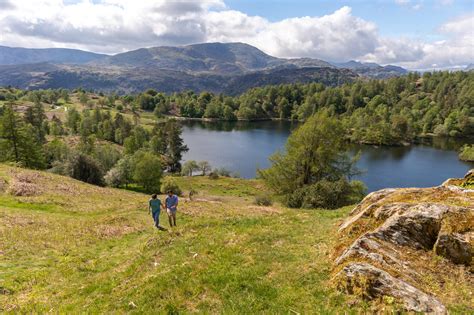 Tarn Hows | Lake District Beauty Spots | Scenic Walks