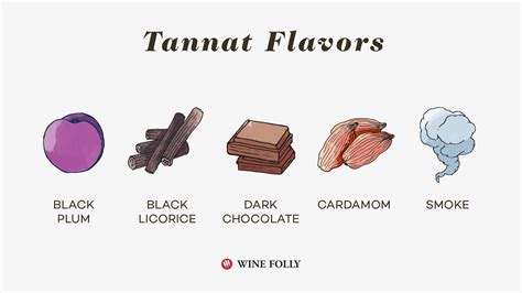 Why You Want To Drink More Tannat Wine | Wine Folly