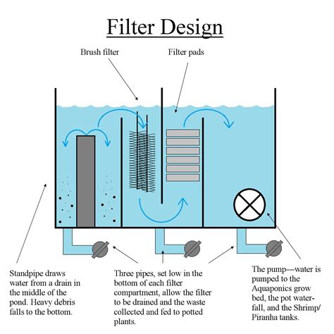 Aquaponics Filter System - paramountmoms