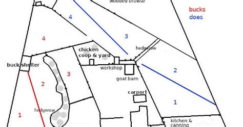 5 Acres & A Dream: Developing a Pasture Rotation Plan: Part 2