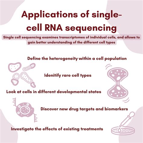 Top 5 Most Revolutionary Uses of Single-Cell RNA Sequencing