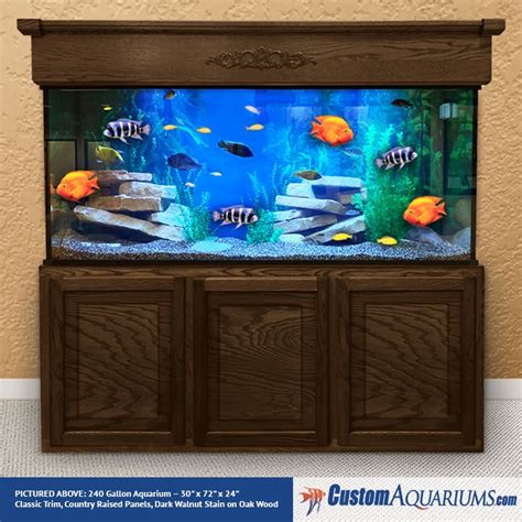 Aquarium Package Specials | Custom Aquariums