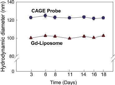 Liposome size and stability over a period of 18 days. Data are shown ...