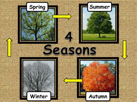 4 Seasons | Teaching Resources