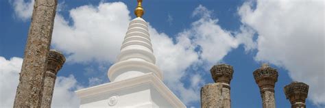 10 Best Anuradhapura Hotels, Sri Lanka (From $9)