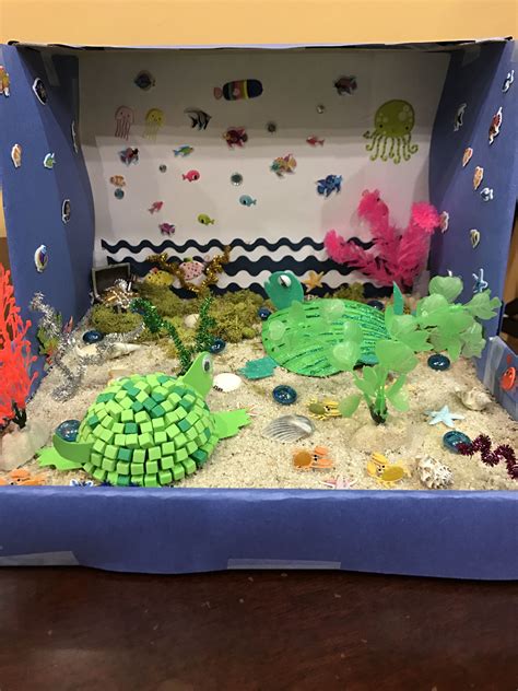 #SeaTurtle #Diorama #SchoolProject #Ocean #Turtle #Habitat Ocean ...