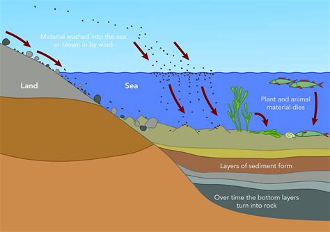 Formation of sedimentary rock | Illustration used in Gr 4-6 … | Flickr