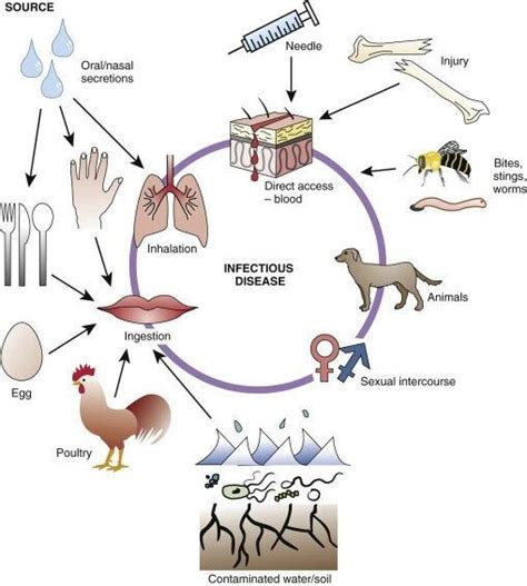 Mode of Transmission of Diseases- Direct and Indirect Transmission