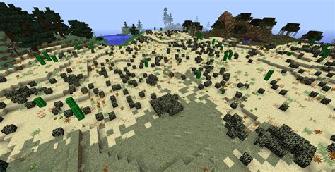 Image - Xeric Shrubland New.png | Biomes O' Plenty Wiki | FANDOM ...