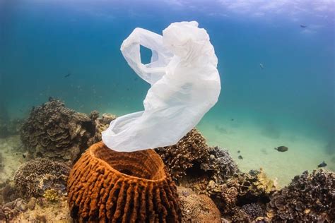 How do we keep the oceans from becoming the world’s plastic trash can ...