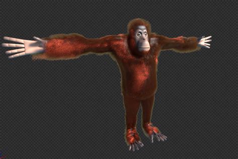 Orangutan by 3Dtoaster on DeviantArt