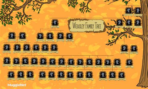 The Weasley Family Tree – Linking Minor Characters | LaptrinhX / News