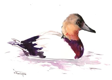 Canvasback Duck Artwork watercolor duck painting one of a | Etsy ...