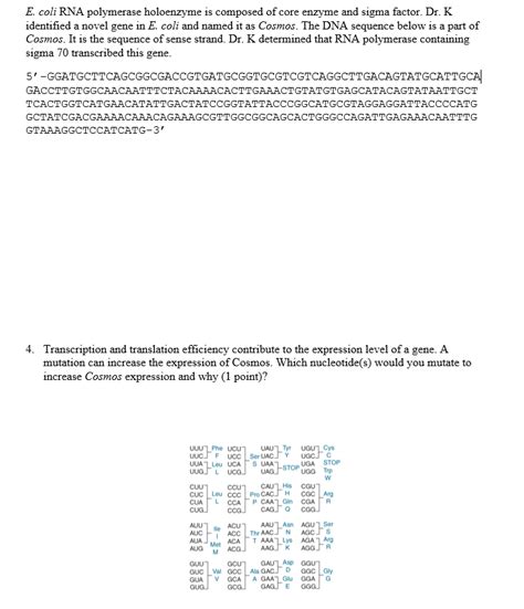 Solved E. coli RNA polymerase holoenzyme is composed of core | Chegg.com