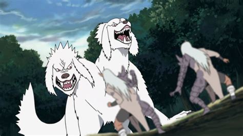 Who is Akamaru in Naruto?