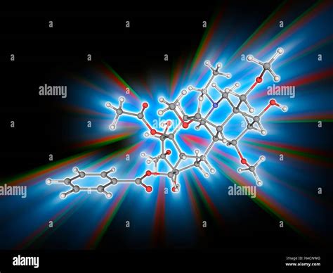 Aconitine. Molecular model of the deadly neurotoxin aconitine (C34.H47 ...