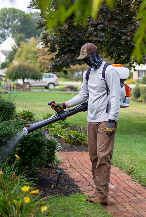 Best Yard Spray For Mosquitoes - Dear Adam Smith