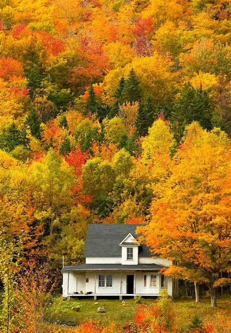 The amazing fall colors of Cape Breton Island Nova Scotia | Nova scotia ...