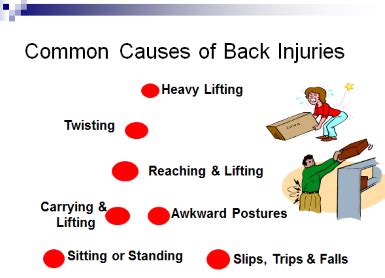 Common causes of back injury - summary