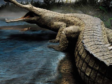 5 Fakta Sarcosuchus Imperator Buaya Terbesar - PinoQQ Lounge