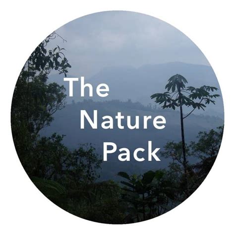 The Nature Pack | Nature Sound Effects Library | Asoundeffect.com