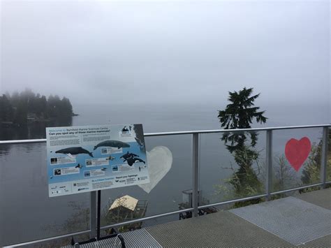 Bamfield Marine Sciences Centre – The Whale Trail