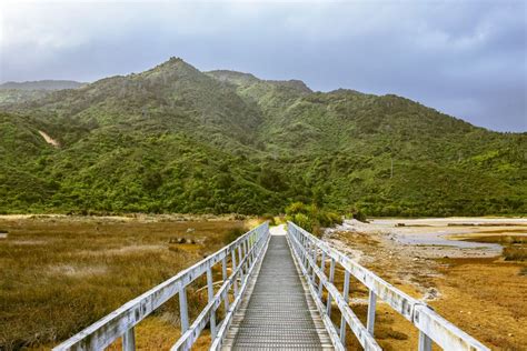 Abel Tasman National Park: The Complete Guide