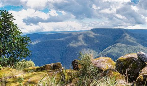 Barrington Tops National Park | NSW National Parks