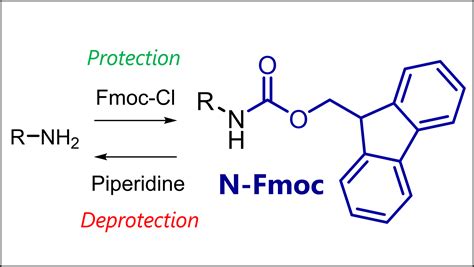 Fmoc Protecting Group: Fmoc Protection & Deprotection Mechanism – Total ...