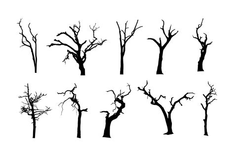 10 Spooky Dead Tree Silhouette (PNG Transparent) Vol. 2 | OnlyGFX.com