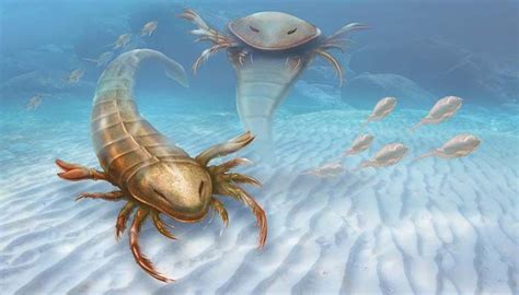 Arriba 64+ imagen eurypterid fossil - Abzlocal.mx