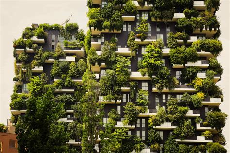 Sustainable Architecture: Everything you need to know