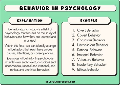 15 Types of Behaviors (2024)