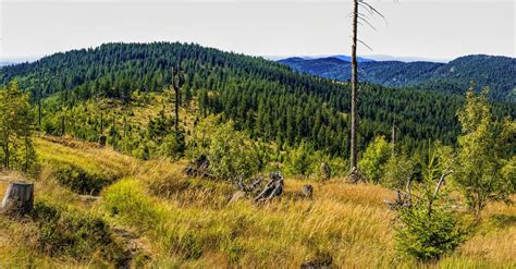 Free stock photo of Bavaria, bavarian forest, destination