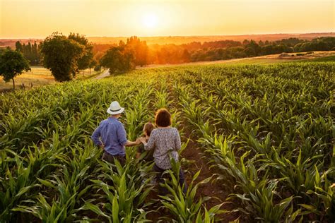 Under the USDA's Definition, 90 Percent of Iowa's Farms Are "Family ...