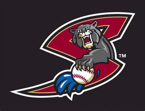 Sacramento River Cats | Baseball teams logo, Sacramento river, Baseball ...