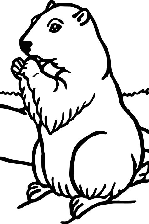 Groundhog Line Drawing at GetDrawings | Free download