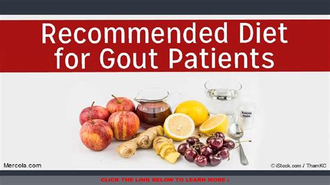 what is a gout diet plan infographic visualistan - gout diet plan gout ...