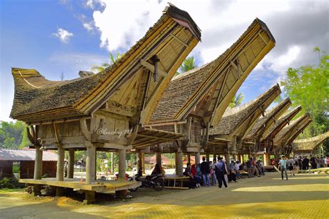 Tongkonan (Rumah Adat Toraja-Sulawesi Selatan) - CHRISTA KASIH